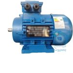 الکتروموتور 2 اسب سه فاز 1500 دور چدن JMCO